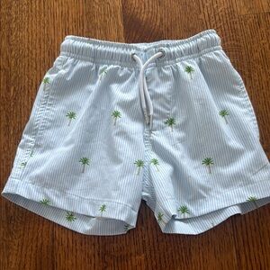Light Blue Palm Tree boys Swim Shorts